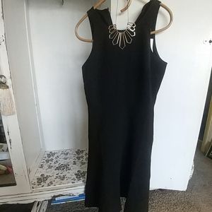 Banana Republic Drop-Waist Dress
